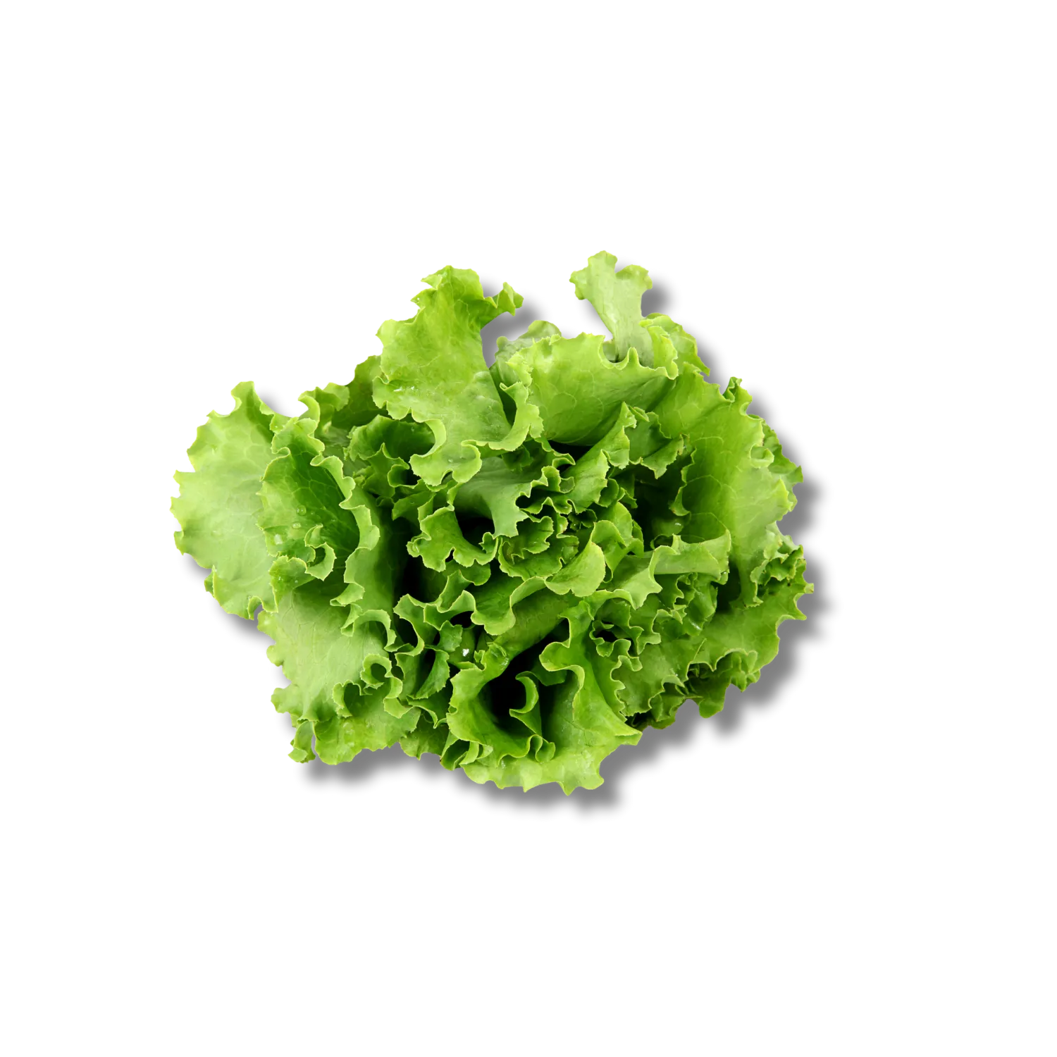 Салат зелений